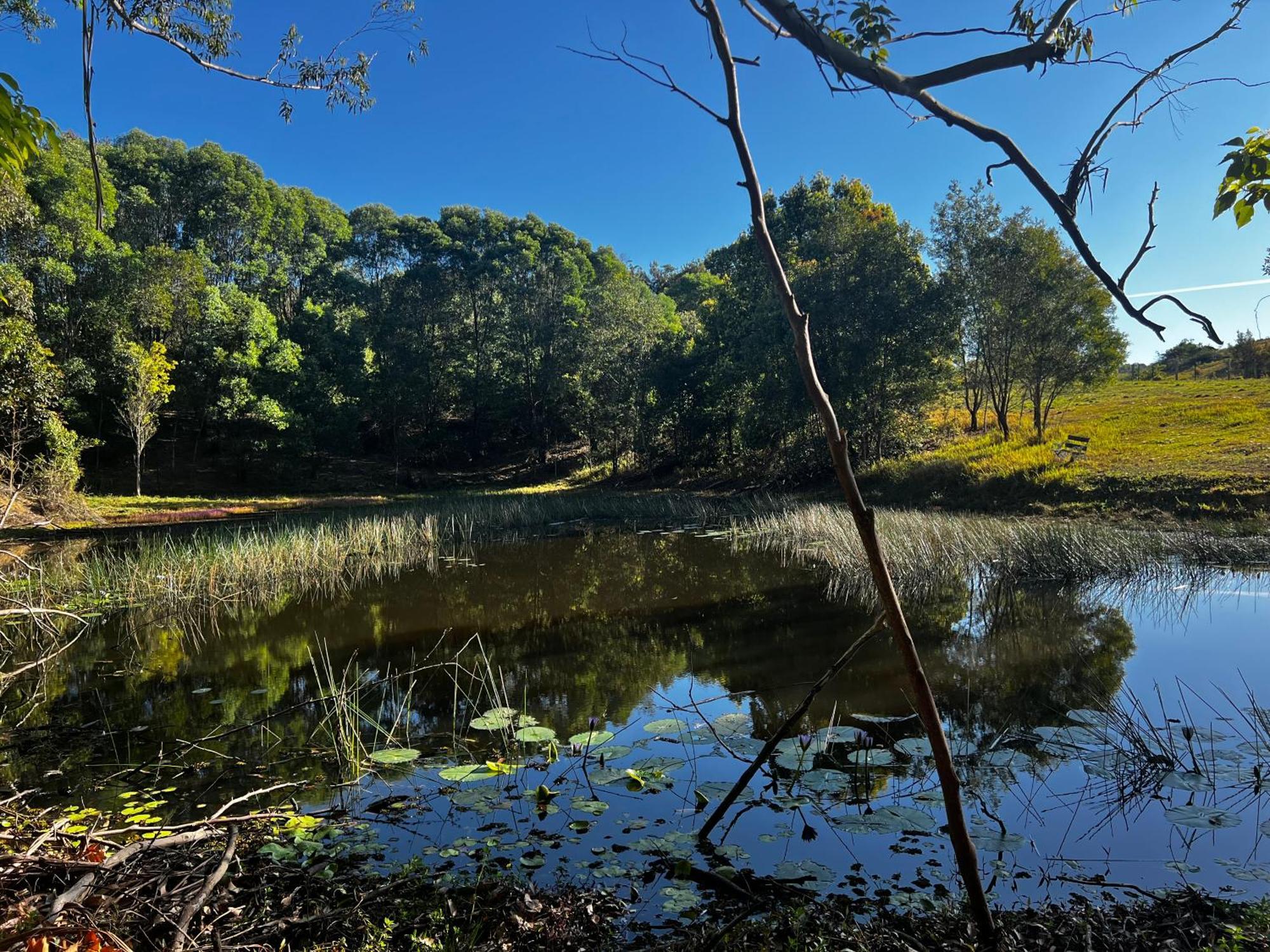 הוילה Sunshine Coast Noosa Pomona Retreat מראה חיצוני תמונה
